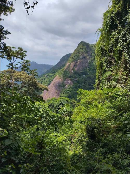 Sabbatical in Brasilien Parque da Tijuca